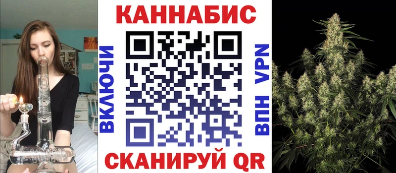 Бошки марихуана гибрид  Купить закладки  Шимановск 